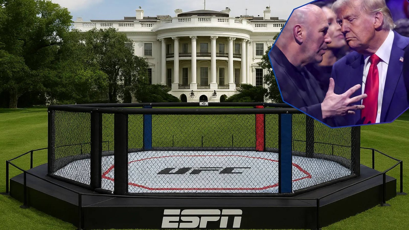 UFC v bílém domě
