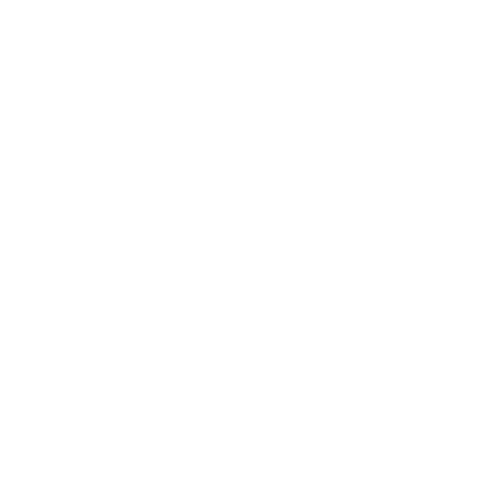 Toggle Password