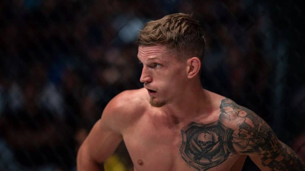 David Dvořák v OKTAGON MMA