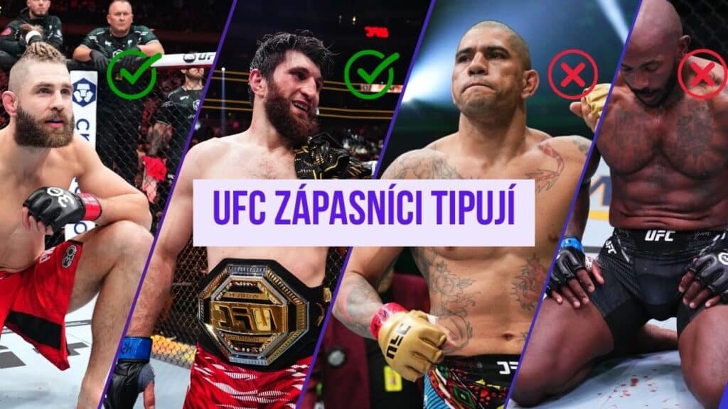 Profíci tipují zápas procházka vs. rountree
